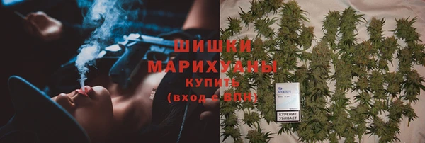 ешки Алзамай
