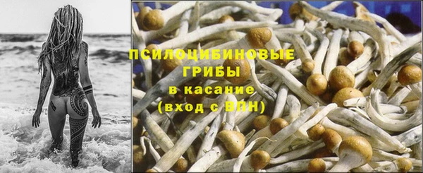 винт Алексин